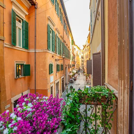 Easybnb - Bear * Roma